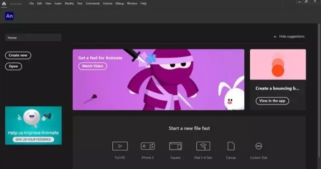 Adobe Animate 2020