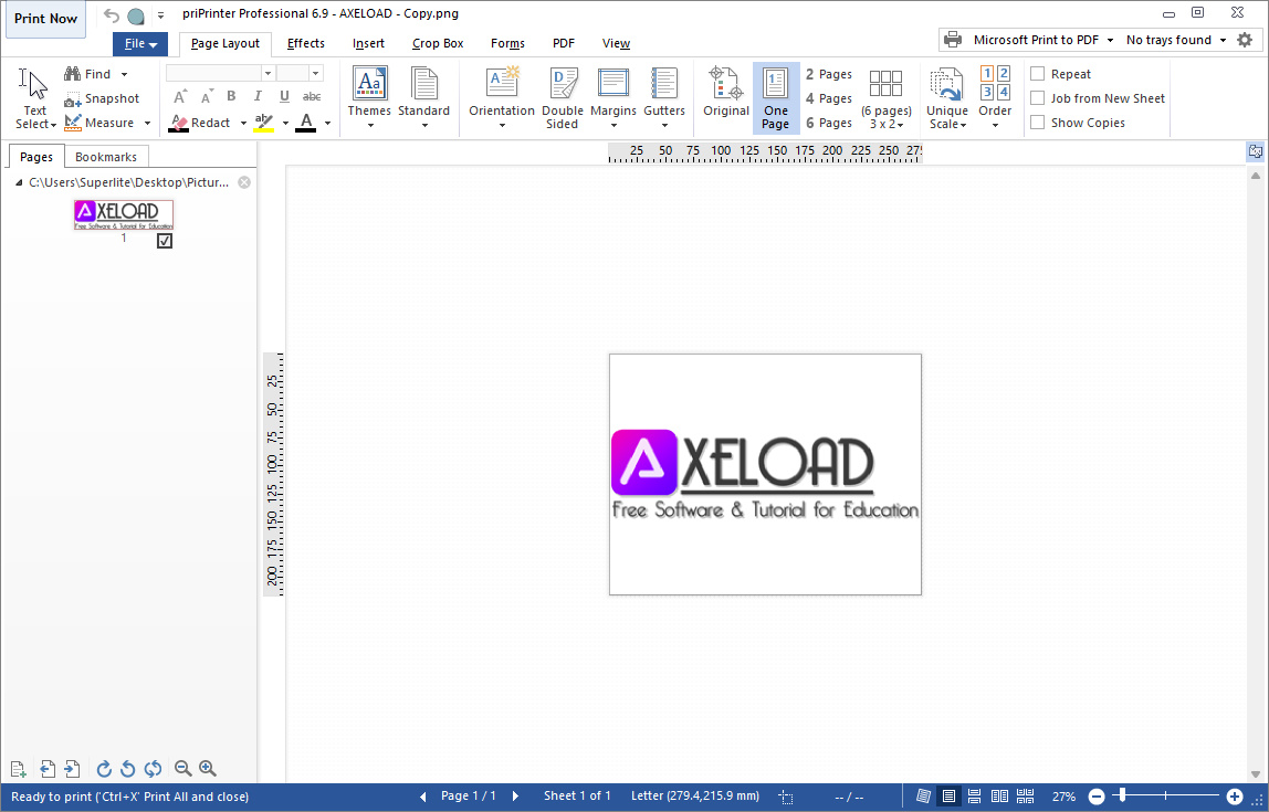 priPrinter Professional