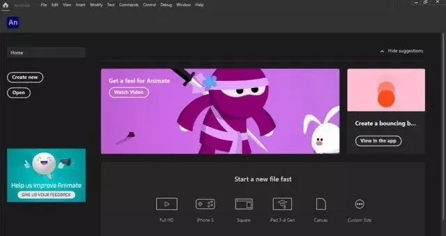 Adobe Animate 2021