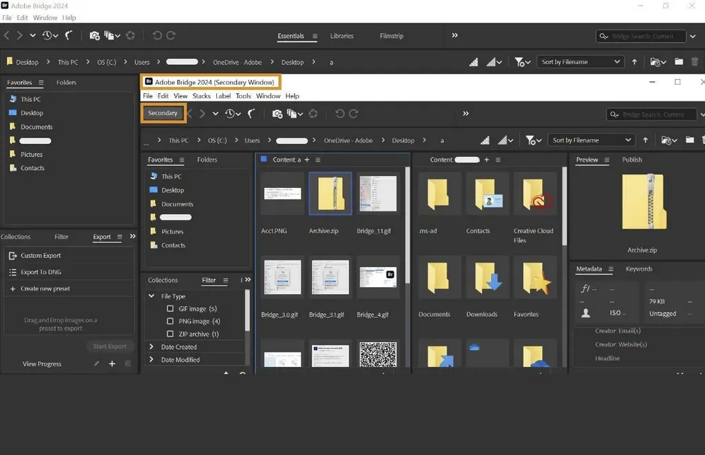 Adobe Bridge