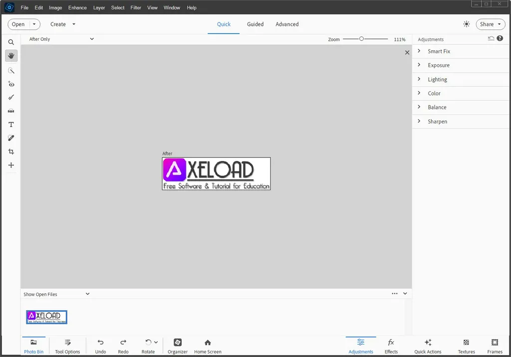 Adobe Photoshop Elements 2024