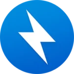 Bandizip Professional Logo