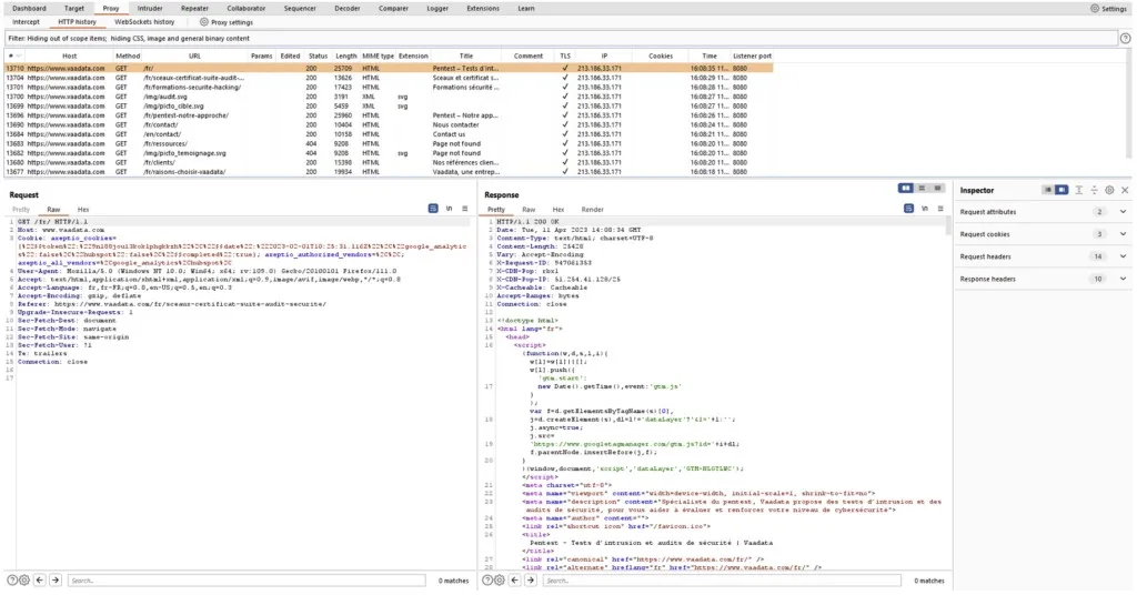 Burp Suite Professional