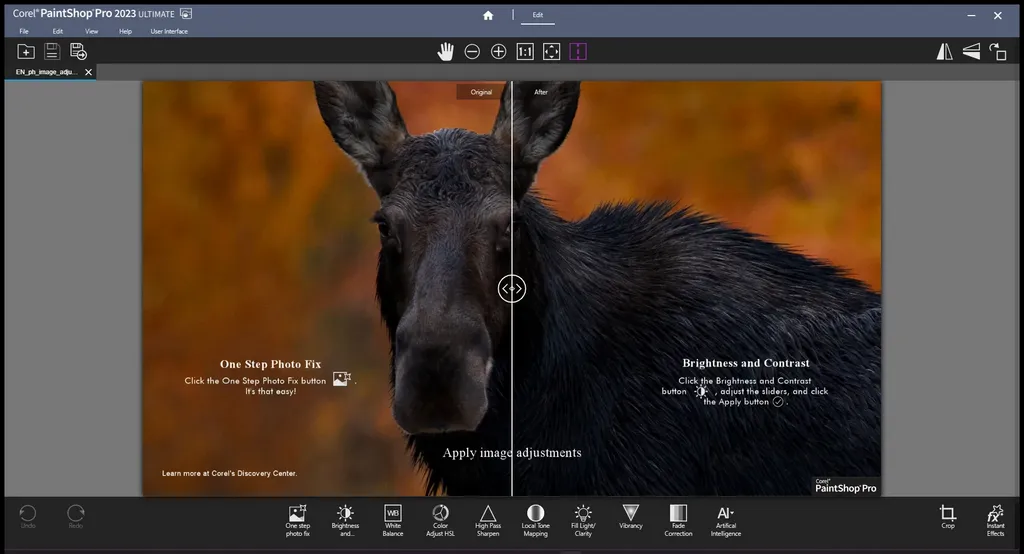 Corel PaintShop Pro 2023 Ultimate
