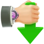 Internet Download Accelerator Pro Logo