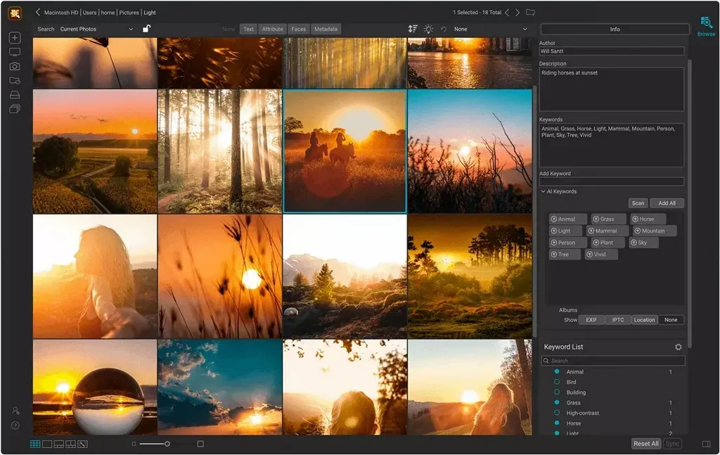 ON1 Photo Keyword AI