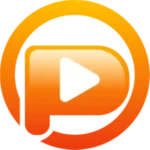 Pazu Netflix Video Downloader Logo