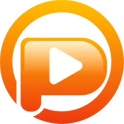 Pazu Netflix Video Downloader Logo