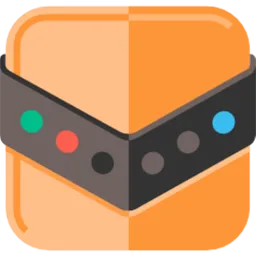 Reg Organizer Logo