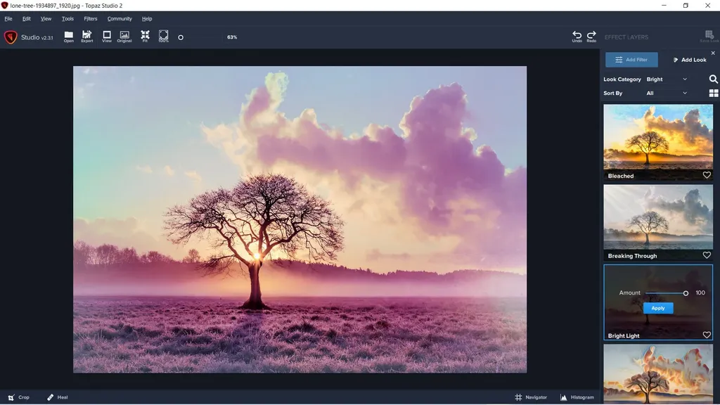 Topaz Studio