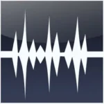 WavePad Sound Editor Logo