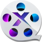 Winxvideo AI Logo