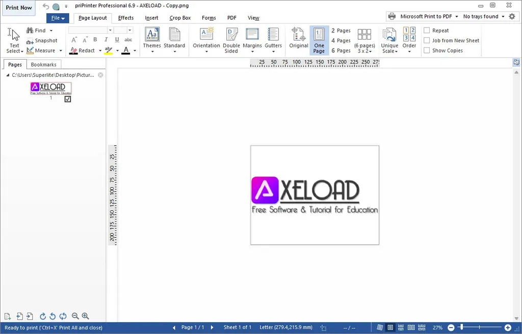 priPrinter Professional