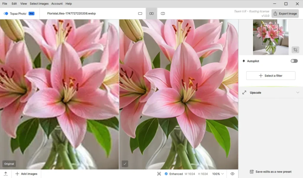 Topaz Photo Pro