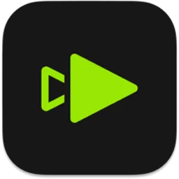 Topaz Video Logo