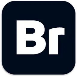 Adobe Bridge 2026 Logo