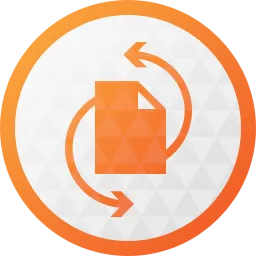 Paragon Hard Disk Manager Logo