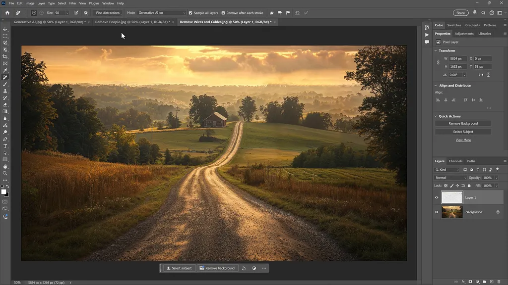 Adobe Photoshop Remove Tool AI 2 After Screenshot