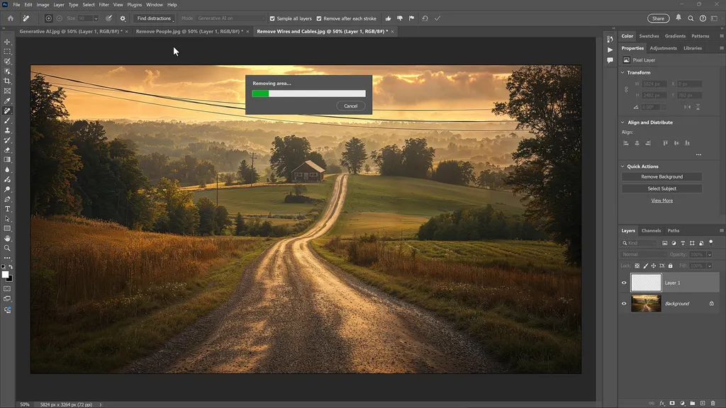 Adobe Photoshop Remove Tool AI 2 Before Screenshot