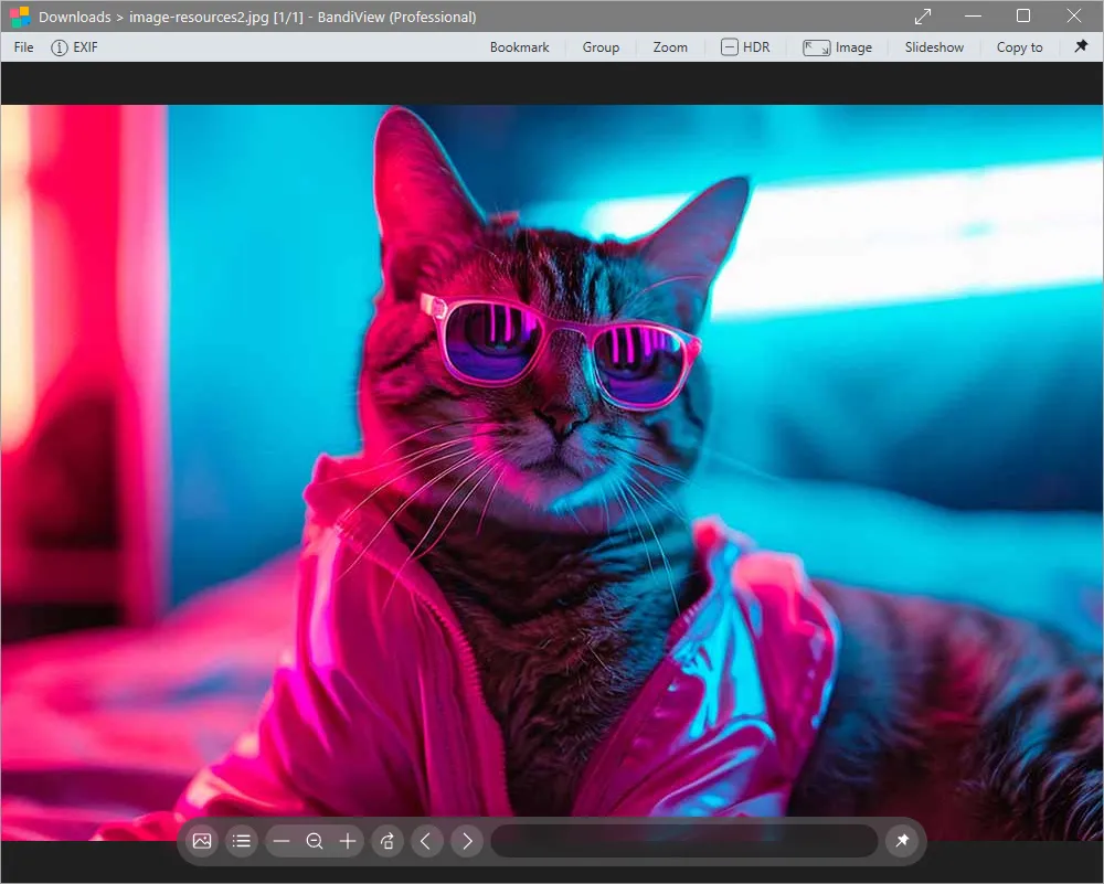 BandiView Pro 2 Screenshot