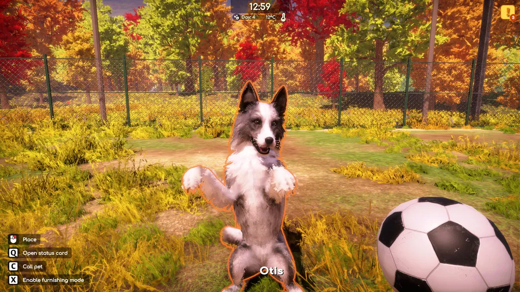 Animal Shelter 2 5 Screenshot