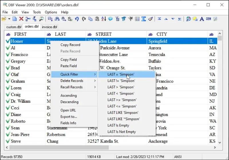 DBF Viewer 2000 2 Screenshot